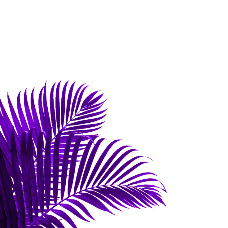 xyz